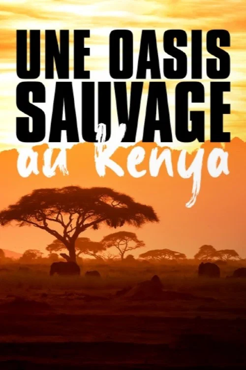 Kenia - Eine Oase im Sand постер