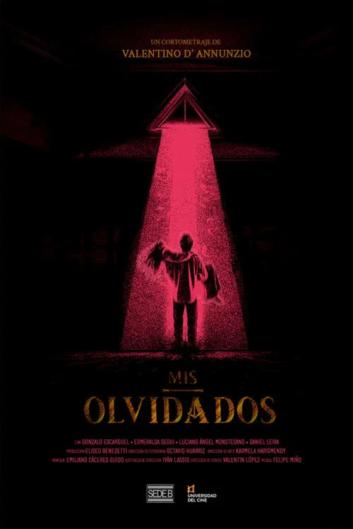 Mis Olvidados постер