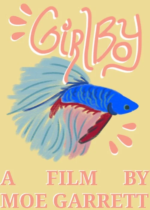 Girlboy постер