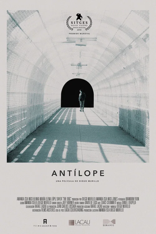 Antílope постер