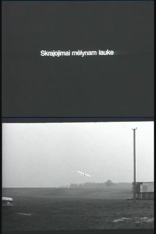 Skrajojimai mėlynam lauke постер