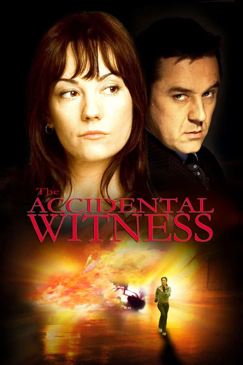 The Accidental Witness постер