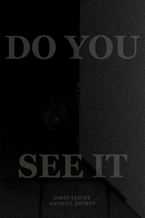 DO YOU SEE IT постер