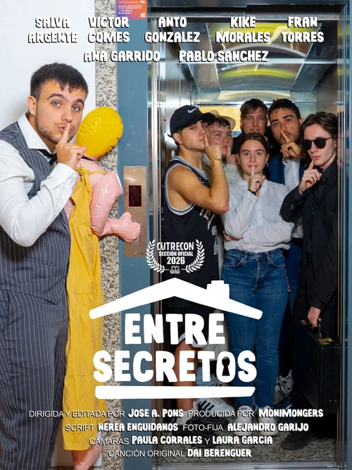 Entre secretos постер