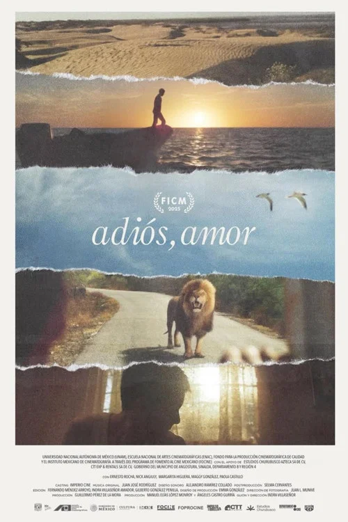 Adiós, amor постер