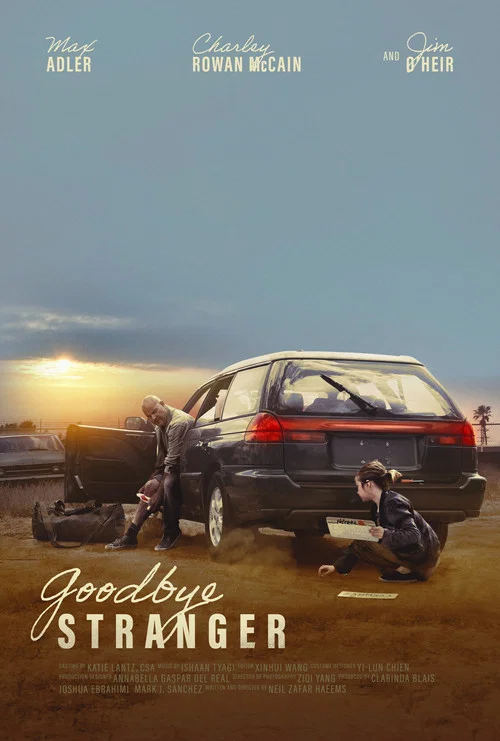 Goodbye Stranger постер