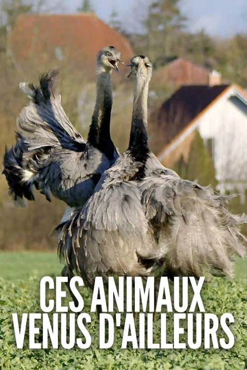 Ces animaux venus d'ailleurs постер