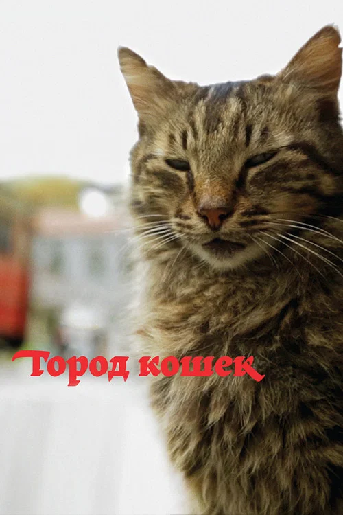 Город кошек постер