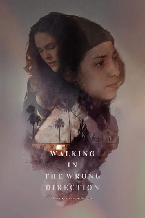 Walking in the Wrong Direction постер