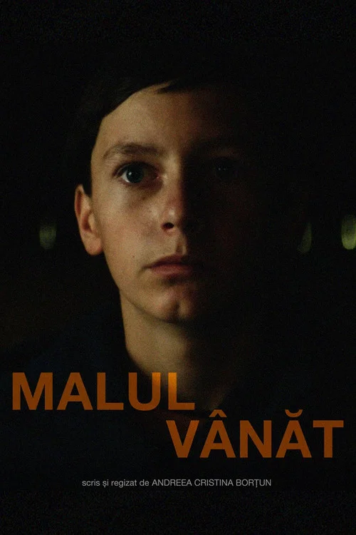 Malul Vânăt постер