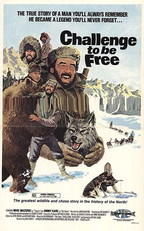 Challenge to be Free постер