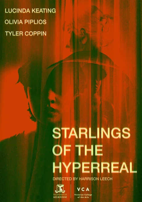 Starlings of the Hyperreal постер
