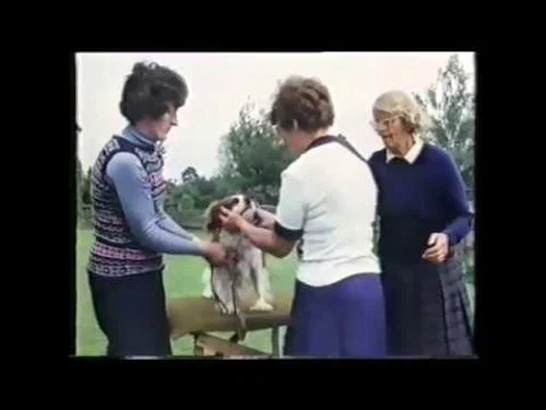 Эпизод 7