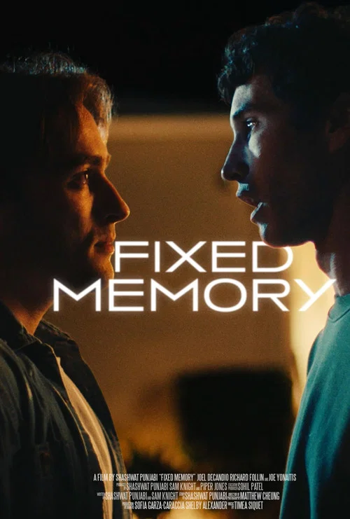 Fixed Memory постер