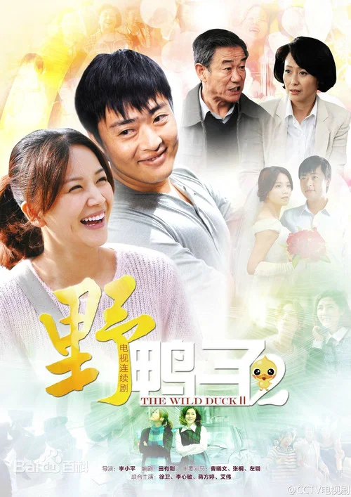野鸭子 постер