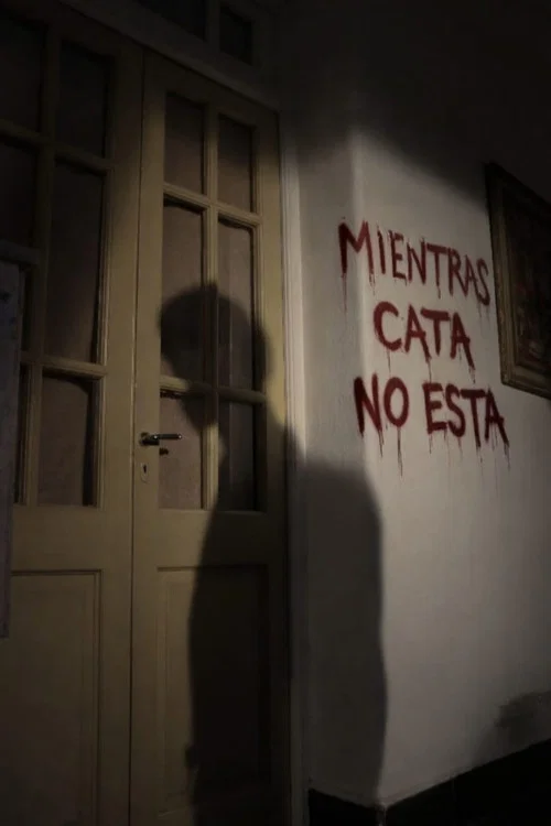 Mientras Cata no está постер