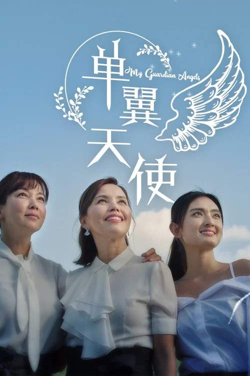 单翼天使 постер