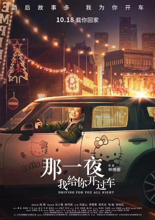 那一夜，我给你开过车 постер