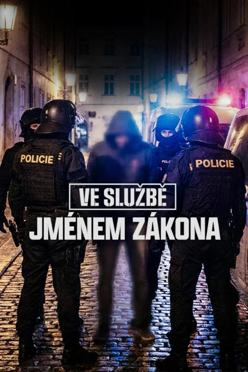 Ve službě: Jménem zákona постер