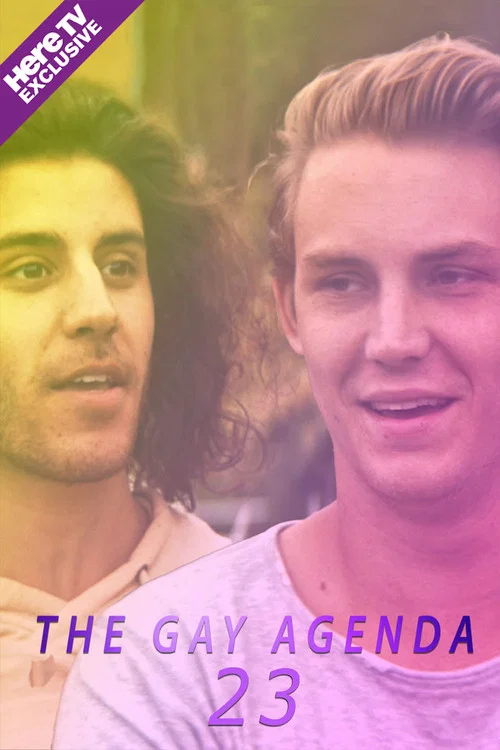The Gay Agenda 23 постер