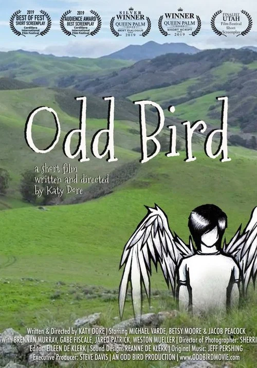 Odd Bird постер