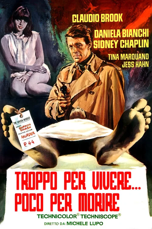 Troppo per vivere... poco per morire постер