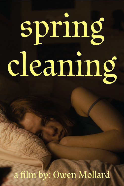 Spring Cleaning постер
