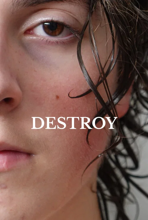 Destroy постер