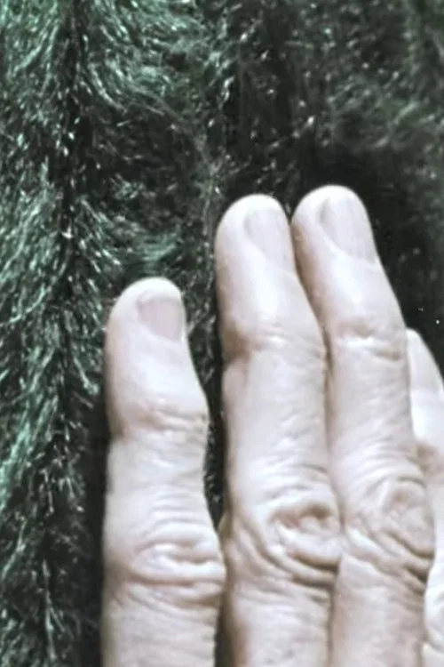 Discovering Texture постер