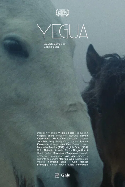 Yegua постер