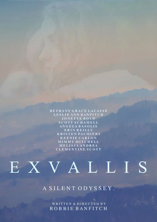 Exvallis постер