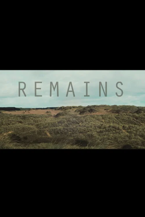 Remains постер