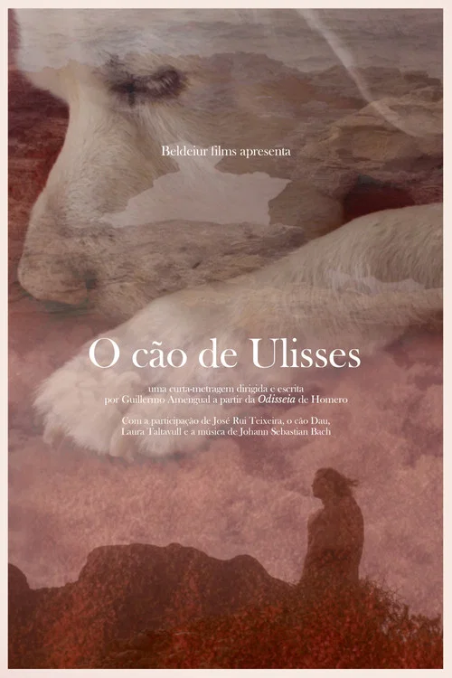O cão de Ulisses постер