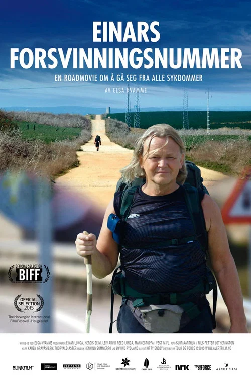 Einars forsvinningsnummer постер