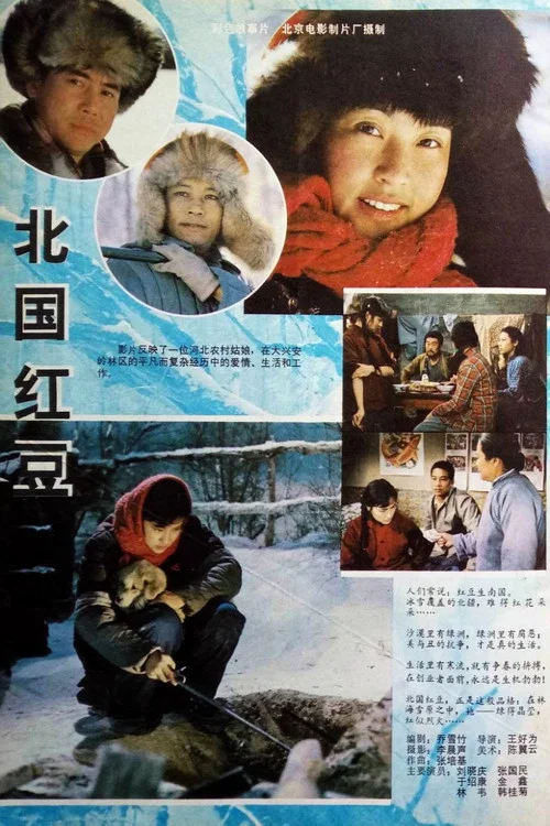 北国红豆 постер