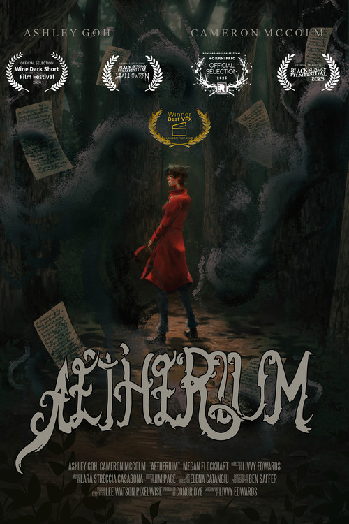 Aetherium постер