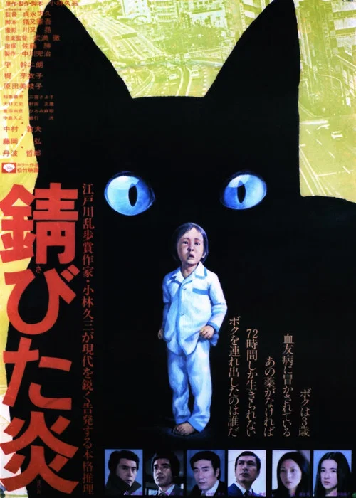 錆びた炎 постер
