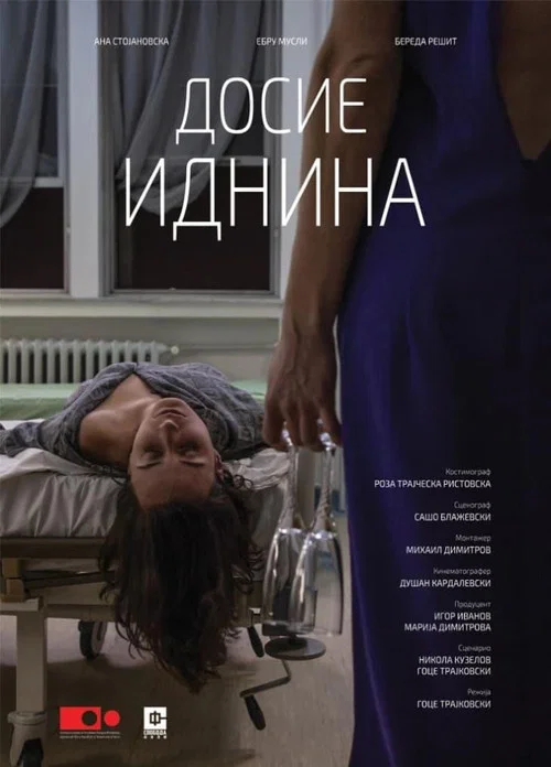 Досие Иднина постер