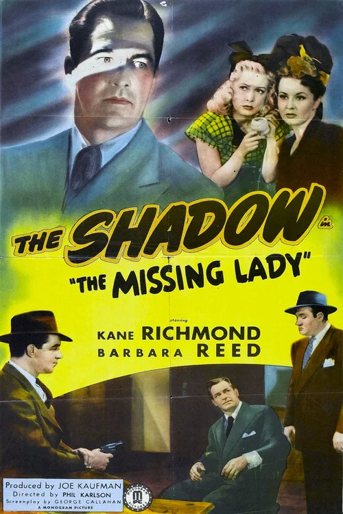 The Missing Lady постер