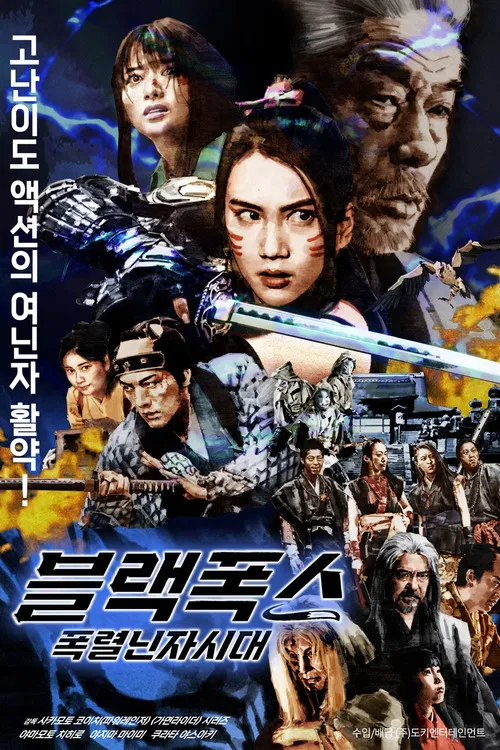 Black Fox: Age of the Ninja постер