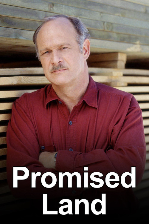 Promised Land постер