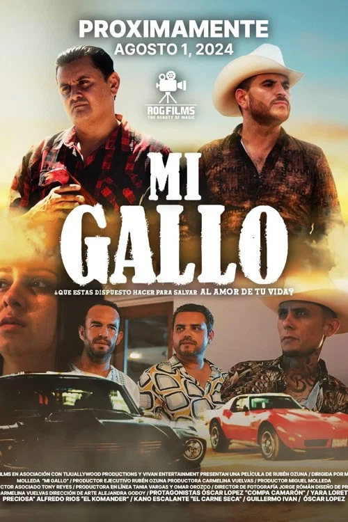 Mi Gallo постер