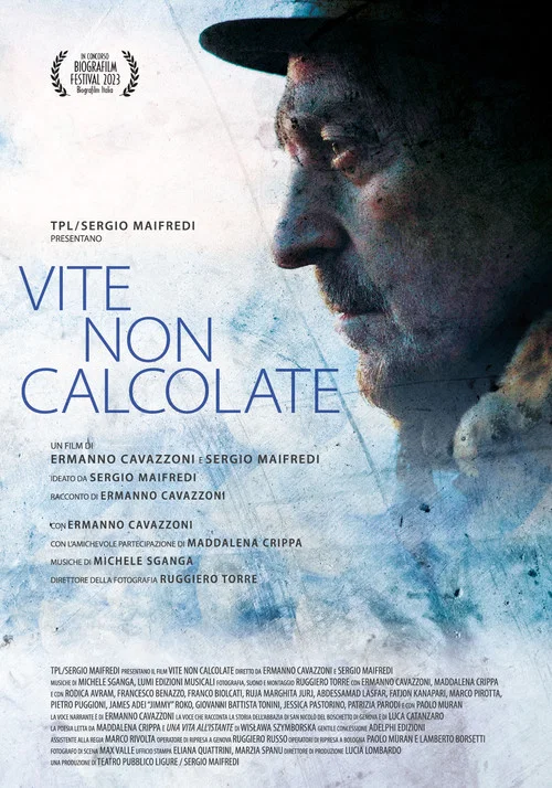 Vite non calcolate постер
