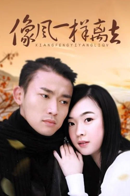 像风一样离去 постер
