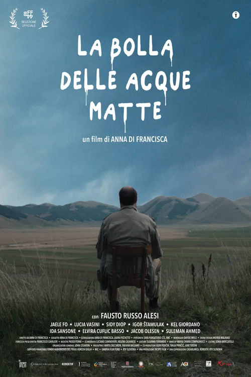 La bolla delle acque matte постер