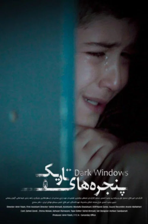 Dark Windows постер