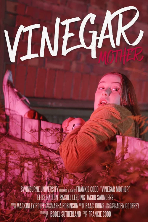 Vinegar Mother постер