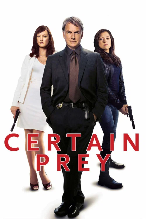 Верный выстрел постер