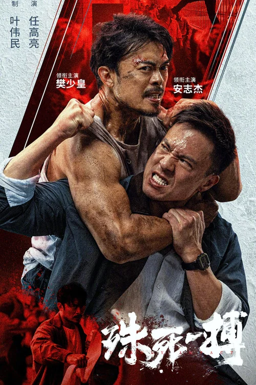 殊死一搏 постер