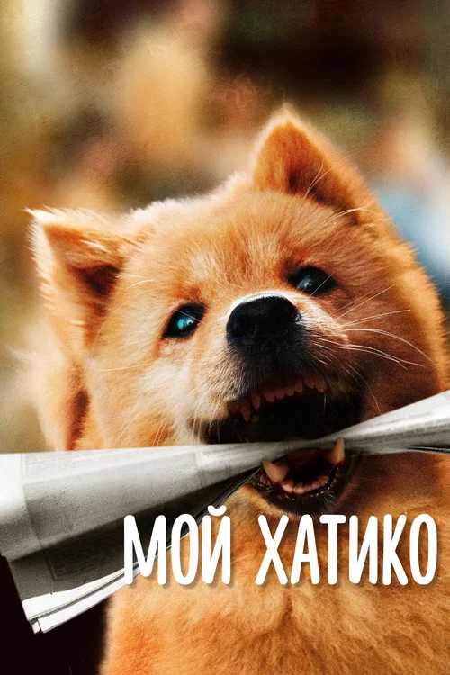Мой Хатико постер